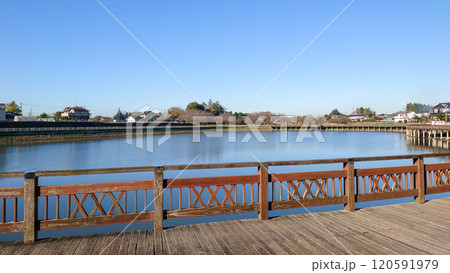 茨城県古河市の東山田調節池 茨城県古河市の東山田調節池 120591979