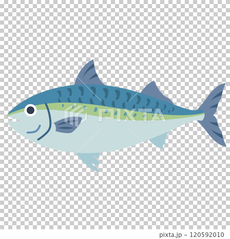 魚，新鮮的魚，海 120592010