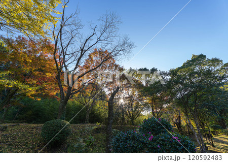 青井岳自然公園の秋模様 青井岳自然公園の秋模様 120592483