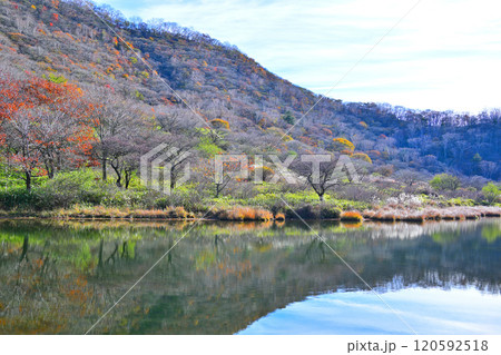 覚満渕 遊歩道からの眺め 晩秋の紅葉 覚満渕 遊歩道からの眺め 晩秋の紅葉 120592518