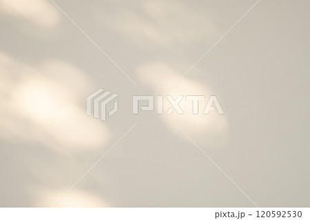 白壁を照らす木洩れ日　a-2-3 明るめ  120592530