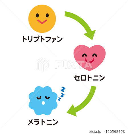 セロトニンの分泌 トリプトファン セロトニン メラトニン セロトニンの分泌 トリプトファン セロトニン メラトニン 120592598