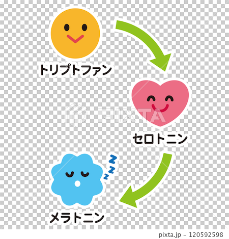 セロトニンの分泌 トリプトファン セロトニン メラトニン セロトニンの分泌 トリプトファン セロトニン メラトニン 120592598