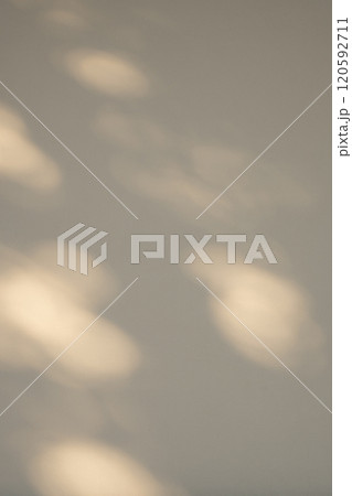 白壁を照らす木洩れ日　b-2-2   120592711