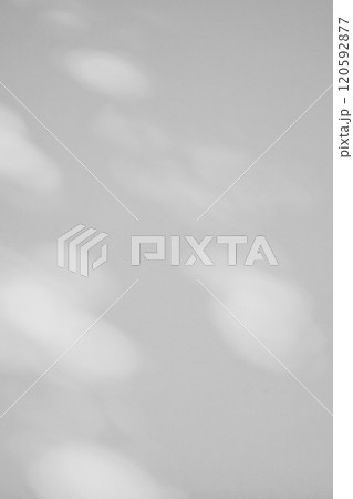 白壁を照らす木洩れ日　b-4-3 モノクロ 明るめ 120592877