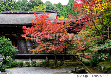 金剛輪寺 本堂 金剛輪寺 本堂 120592882