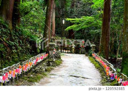 金剛輪寺 参道 金剛輪寺 参道 120592885