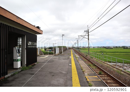 十二橋駅から望む田園風景 十二橋駅から望む田園風景 120592901