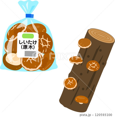 袋入りの原木生しいたけ 120593100