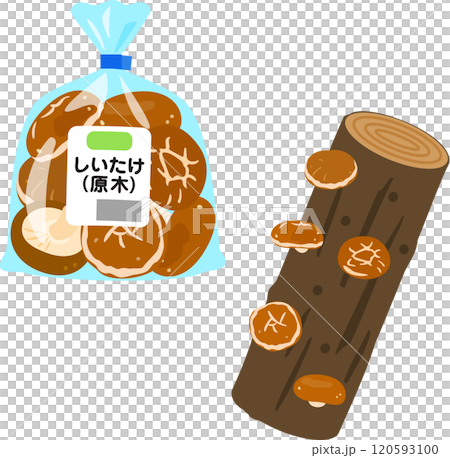 袋入りの原木生しいたけ 120593100
