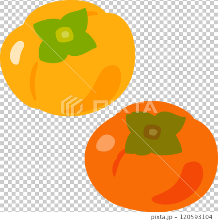 Hard persimmons and ripe soft persimmons Hard persimmons and ripe soft persimmons 120593104