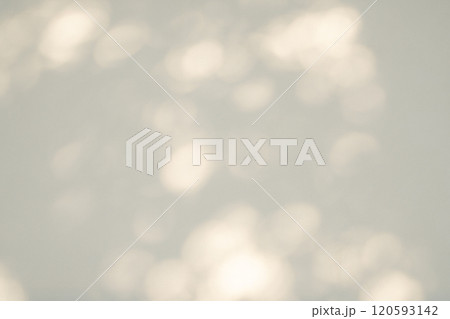 白壁を照らす木洩れ日　c-2-3 明るめ 120593142