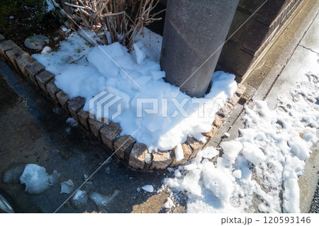 庭の花壇に溶け残った雪 120593146