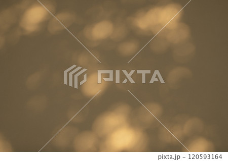 白壁を照らす木洩れ日　c-3-1 暖色 暗め 120593164