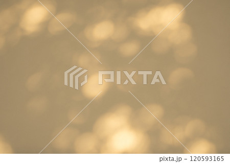 白壁を照らす木洩れ日　c-3-2 暖色 120593165