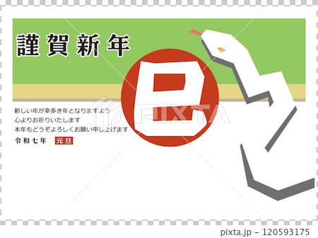 新年插畫蛇年明信片模板簡約時尚蛇插畫 120593175