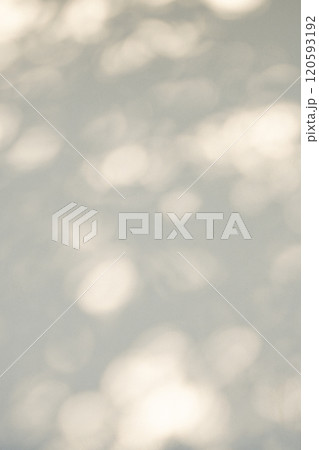 白壁を照らす木洩れ日　d-2-3 明るめ 120593192