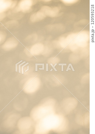 白壁を照らす木洩れ日　d-3-3 暖色 明るめ 120593218