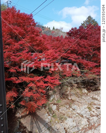 紅葉に包まれた山 紅葉に包まれた山 120593494