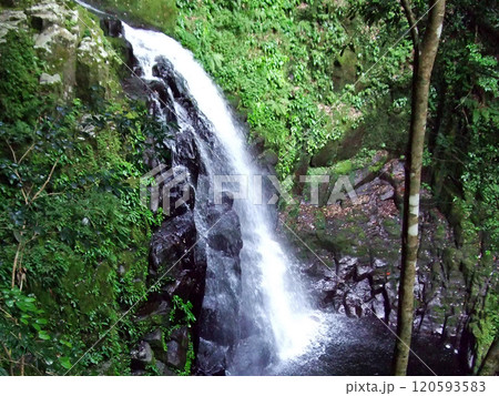 赤目四十八滝　不動滝 120593583