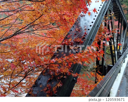 紅葉に包まれた山門 120593671