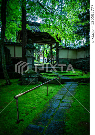 緑に包まれた貞祥寺の情景 長野県佐久市 緑に包まれた貞祥寺の情景 長野県佐久市 120593777