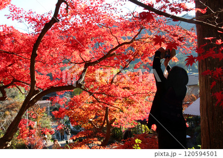紅葉狩り写真撮影を楽しむ女性 120594501