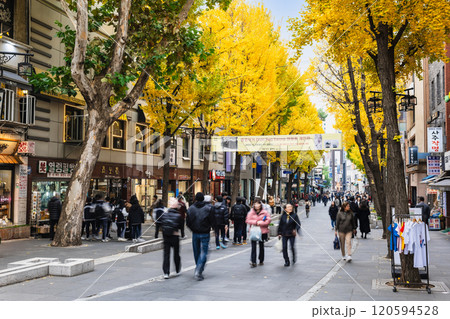 秋のソウル　インサドン（仁寺洞）のメインストリート 120594528