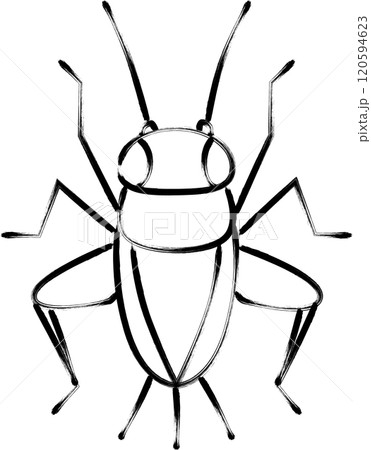 筆書き昆虫単品アイコン コオロギ 筆書き昆虫単品アイコン コオロギ 120594623