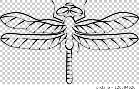 Brush-drawn insect icon: Dragonfly 120594626