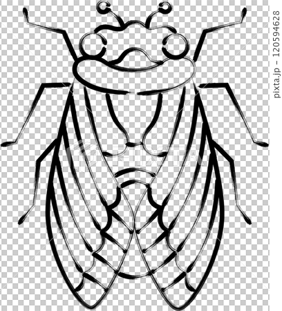 Brush-drawn insect icon: Cicada 120594628