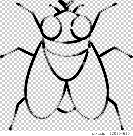 Brush-drawn insect single icon: fly 120594630