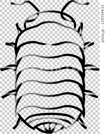 Brush-drawn insect icon: pillbug 120594632