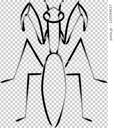 刷畫昆蟲單圖示螳螂 刷畫昆蟲單圖示螳螂 120594637