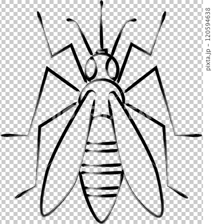毛筆昆蟲單品圖示 蚊子 毛筆昆蟲單品圖示 蚊子 120594638