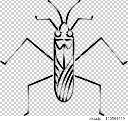 畫筆昆蟲單圖示水黽 120594639