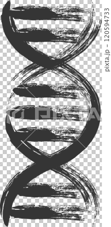 Medical-related brush-drawn single illustration: Genetics 120594733