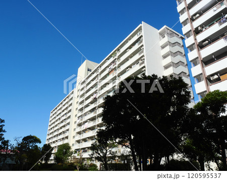 青空と団地のある都市風景|高島平団地 青空と団地のある都市風景|高島平団地 120595537