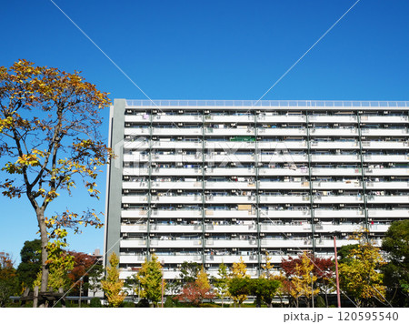 青空と団地のある都市風景｜高島平団地 120595540