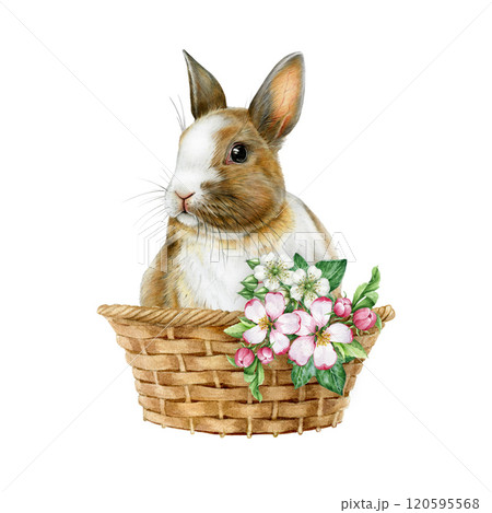 Cute bunny in a woven basket with floral decor on white background. Hand drawn vintage style watercolor illustration. Ideal for Easter themes, holiday cards, seasonal festive decor 120595568