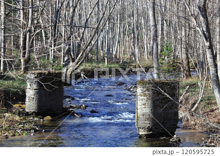 北海道の晩秋　森林鉄道　橋脚跡 120595725