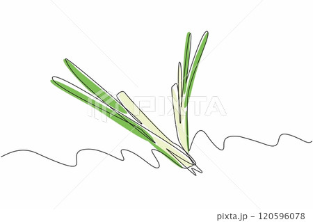 One line drawing of organic leek, leaf of union, forming V letter to celebrate Veganuary month in January. A campaign to call people become vegan. 120596078