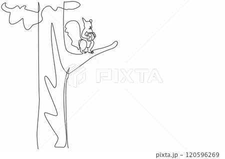 Continuous one line drawing squirrel holding walnut on a felled tree trunk. Finding something to eat. Eating at height. National Squirrel Appreciation Day. Single line draw design vector illustration Continuous one line drawing squirrel holding walnut on a felled tree trunk. Finding something to eat. Eating at height. National Squirrel Appreciation Day. Single line draw design vector illustration 120596269