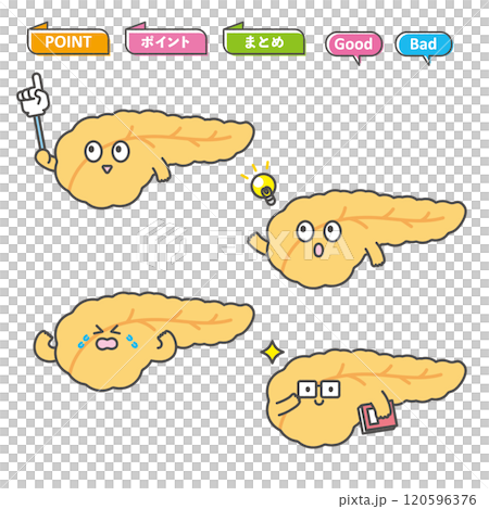 Pancreas character illustration 120596376