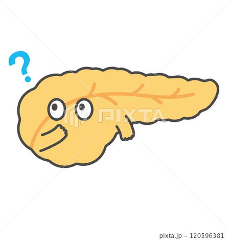 質問する膵臓のキャラクターイラスト 質問する膵臓のキャラクターイラスト 120596381