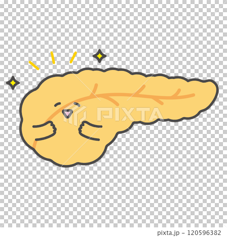快樂的胰臟的人物插圖 120596382
