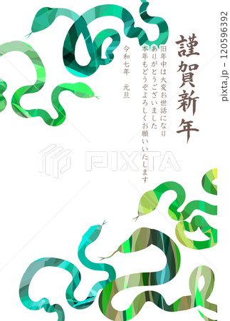 巳 年賀状 干支 背景 巳 年賀状 干支 背景 120596392