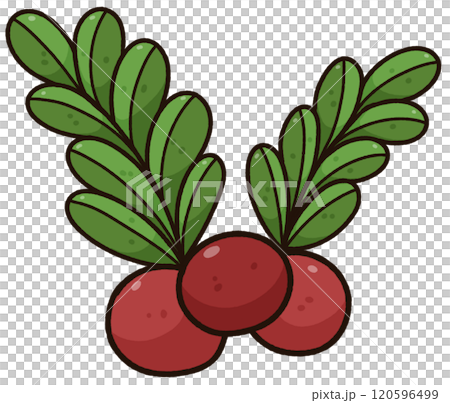 Cute cartoon decoration Christmas clip art PNG, Christmas illustration Cute cartoon decoration Christmas clip art PNG, Christmas illustration 120596499