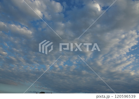 黄昏時の青空に浮かぶ美しいひつじ雲 120596539