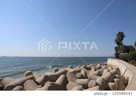 南知多 愛知県 南知多 愛知県 120596541